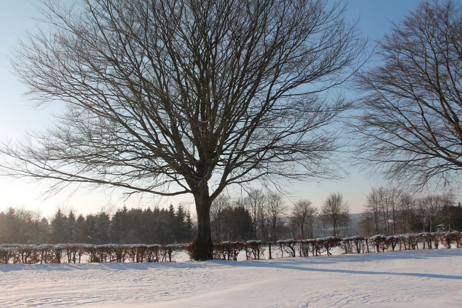 Le Goût du Bonheur-Area winter 1km