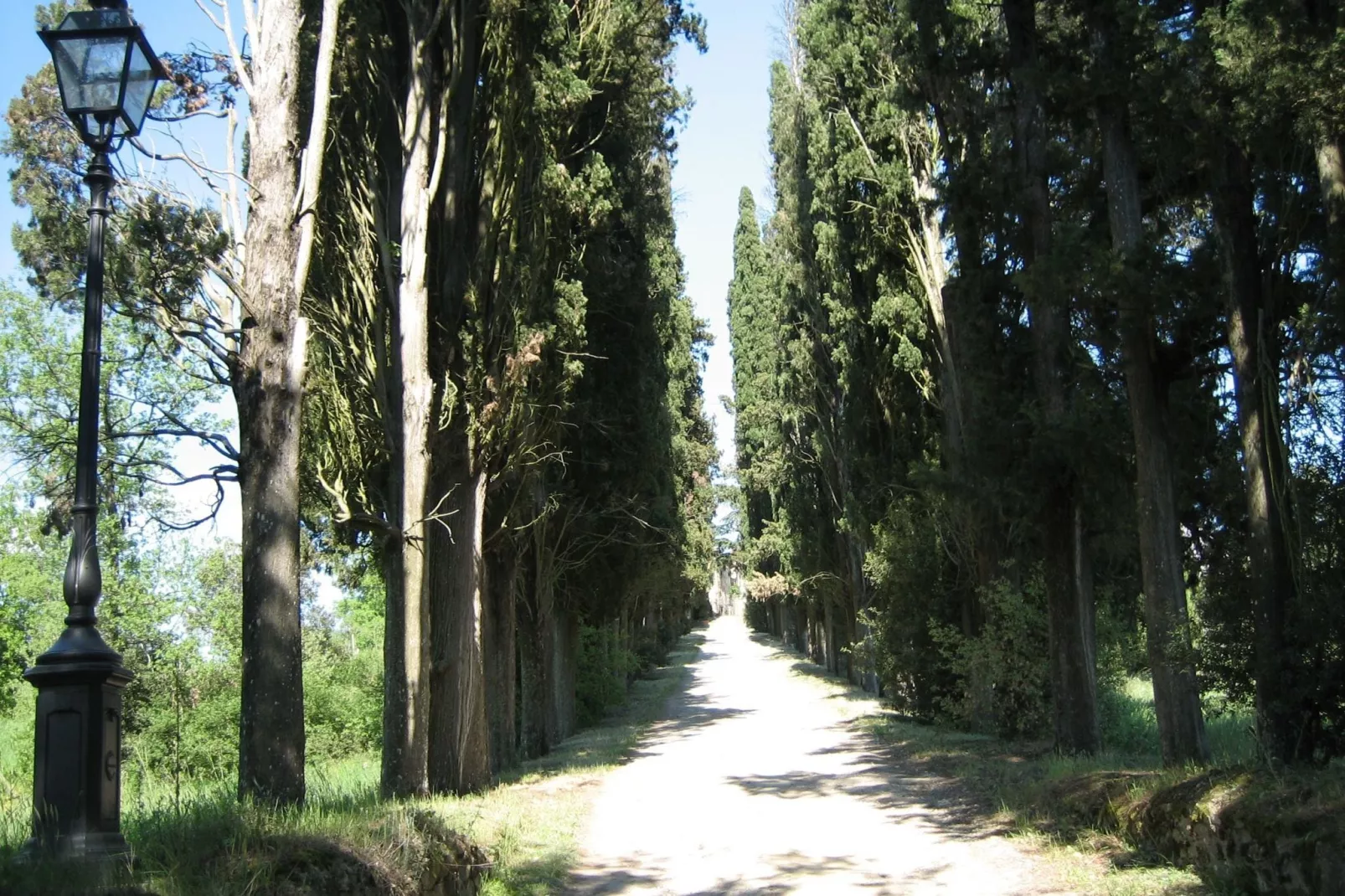 Il Castello del Cardinale-Areas summer 1km