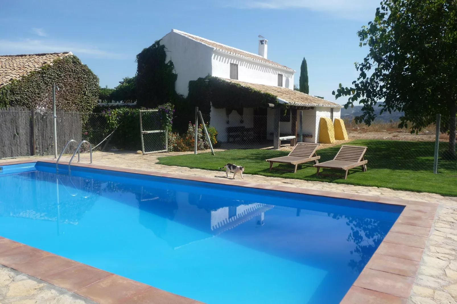 Cortijo El Morron-Pool