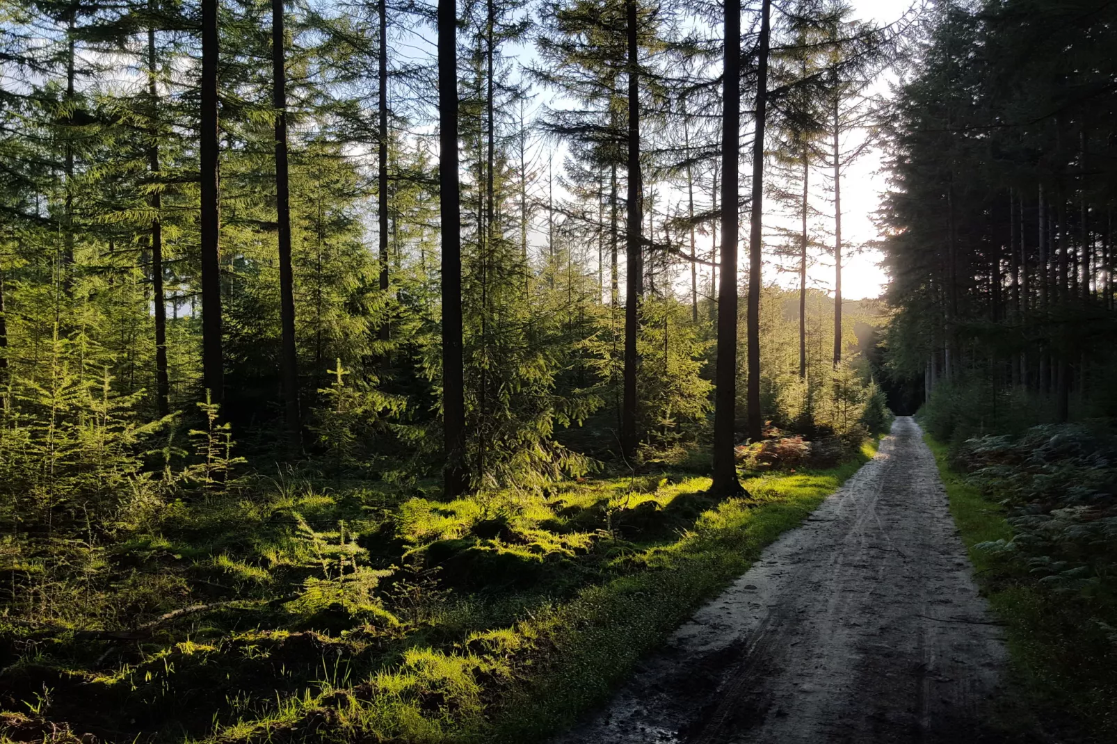 Recreatiepark de Boshoek 9-Gebiete Sommer 1 km