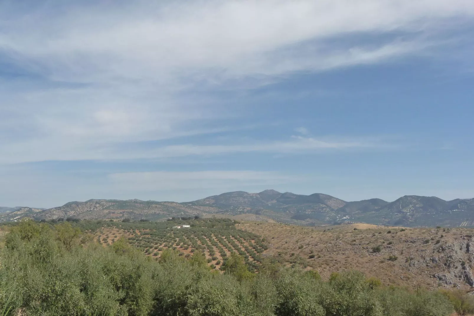 Cortijo El Morron-View summer
