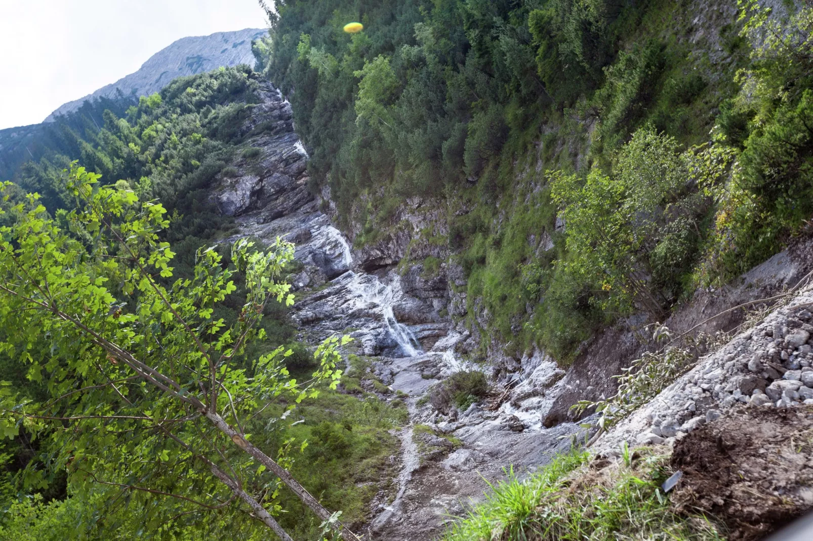 Fleck-Areas summer 5km