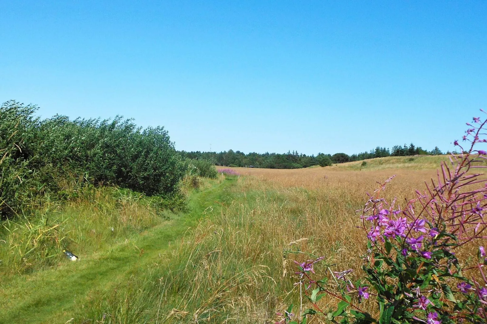 Maison de vacances pour 5 a Højslev-By Traum
