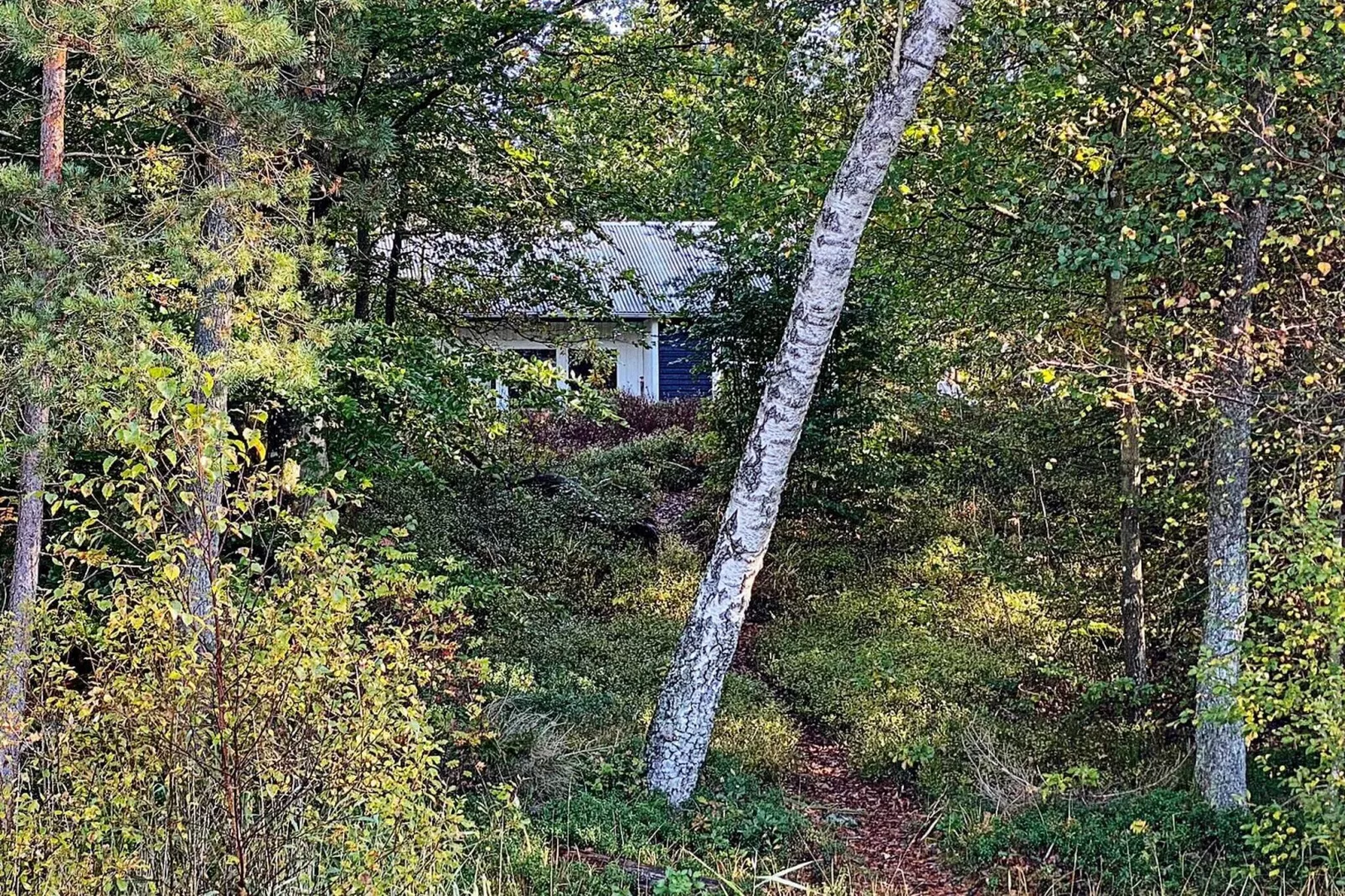 4 person holiday home in SKÅNES-FAGERHULT-Outdoor