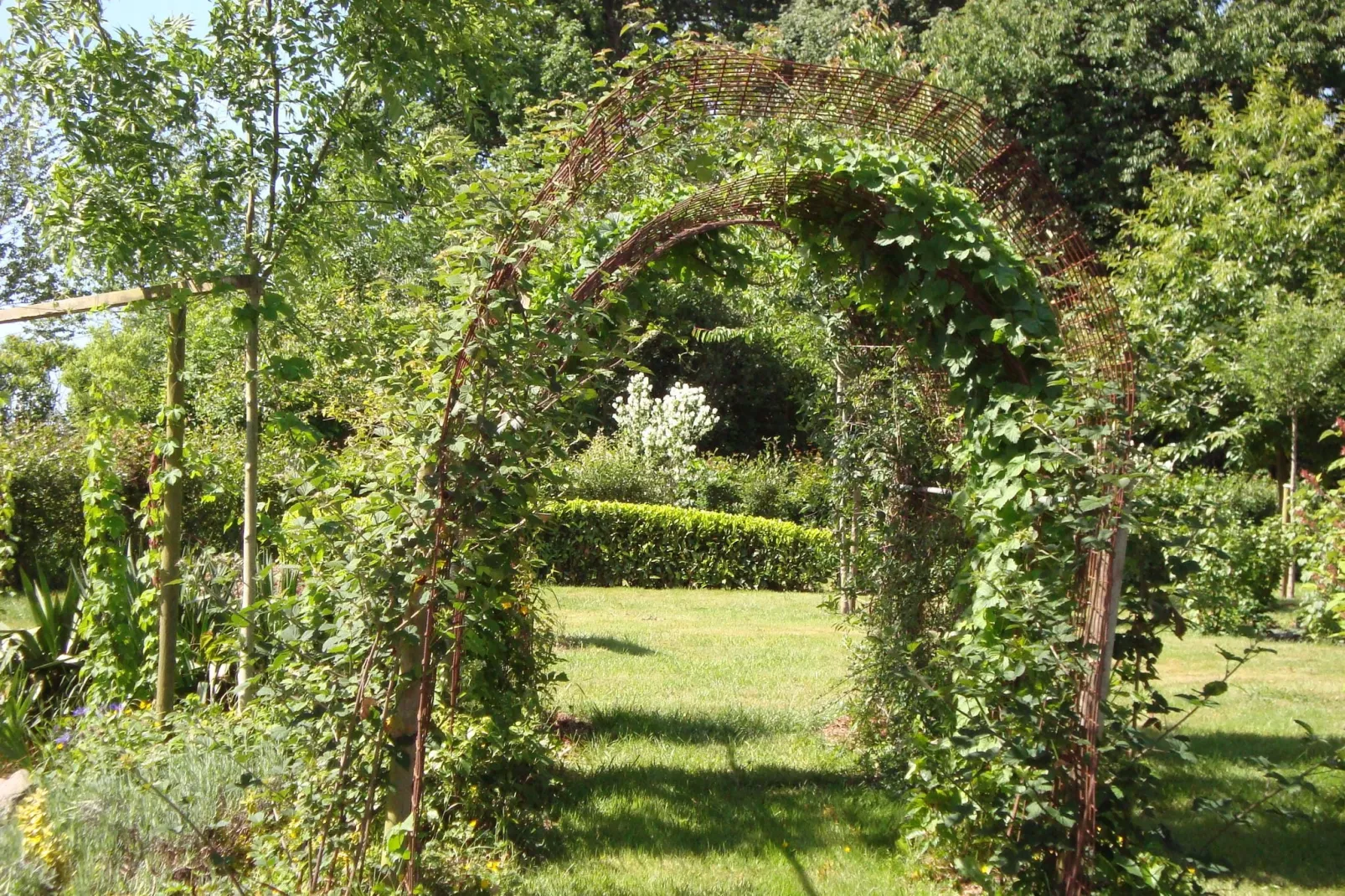 La petite Grenterie-Gardens summer