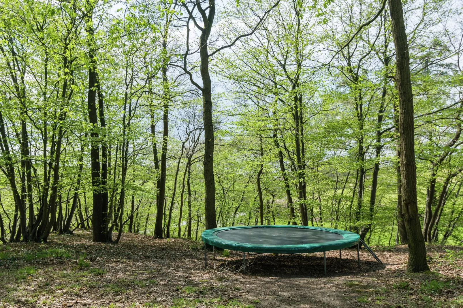 Au Lit de la Canelle-Gardens summer