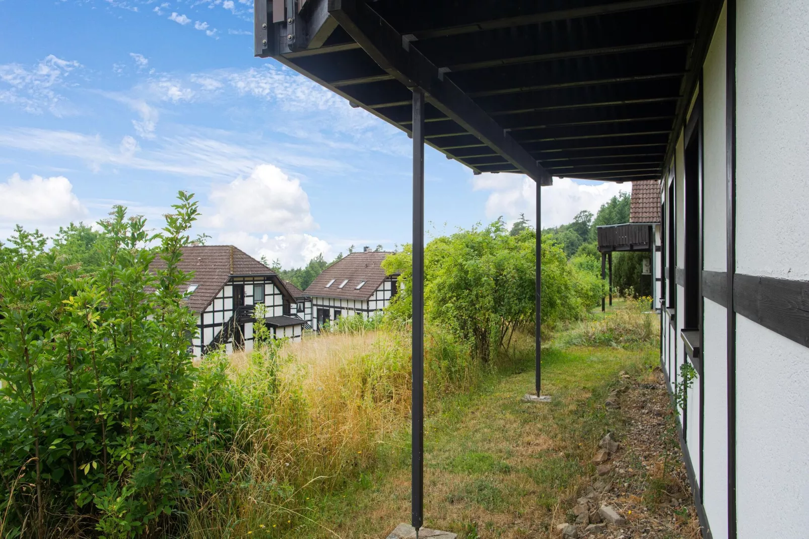 Am Sternberg-Gardens in summer