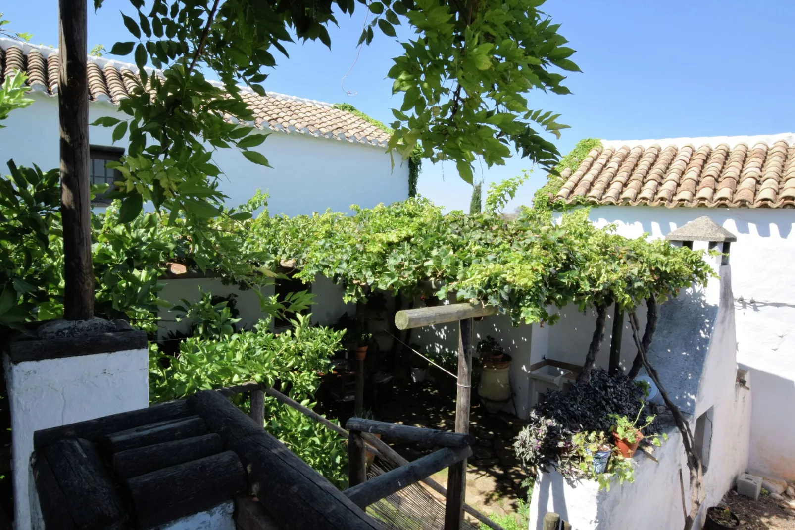 Cortijo El Morron-Gardens summer