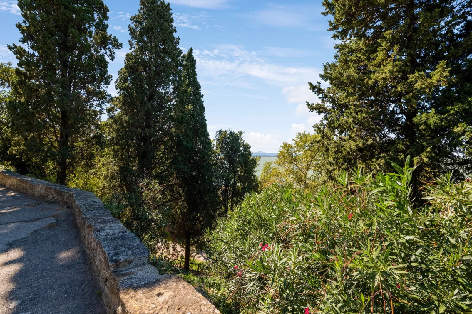 La Rocca Residence-Areas summer 5km