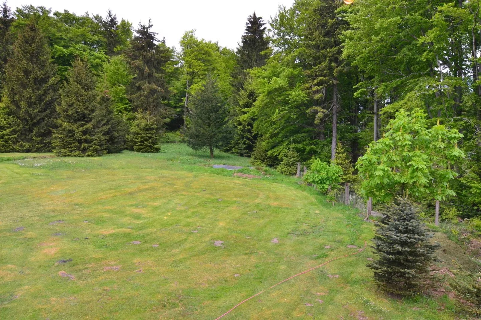 Kleiner Inselsberg-View summer