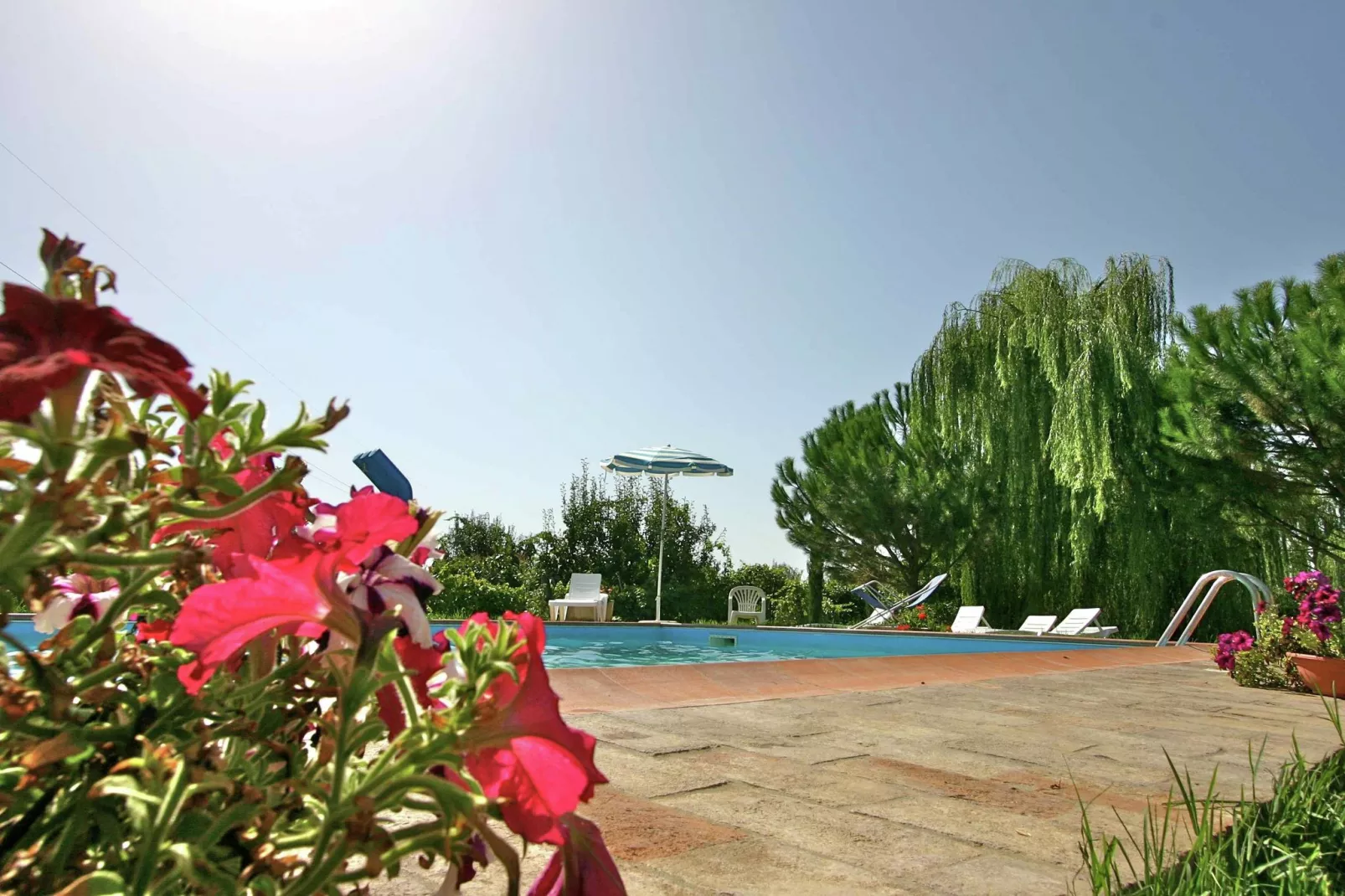 Gli Archi-Pool