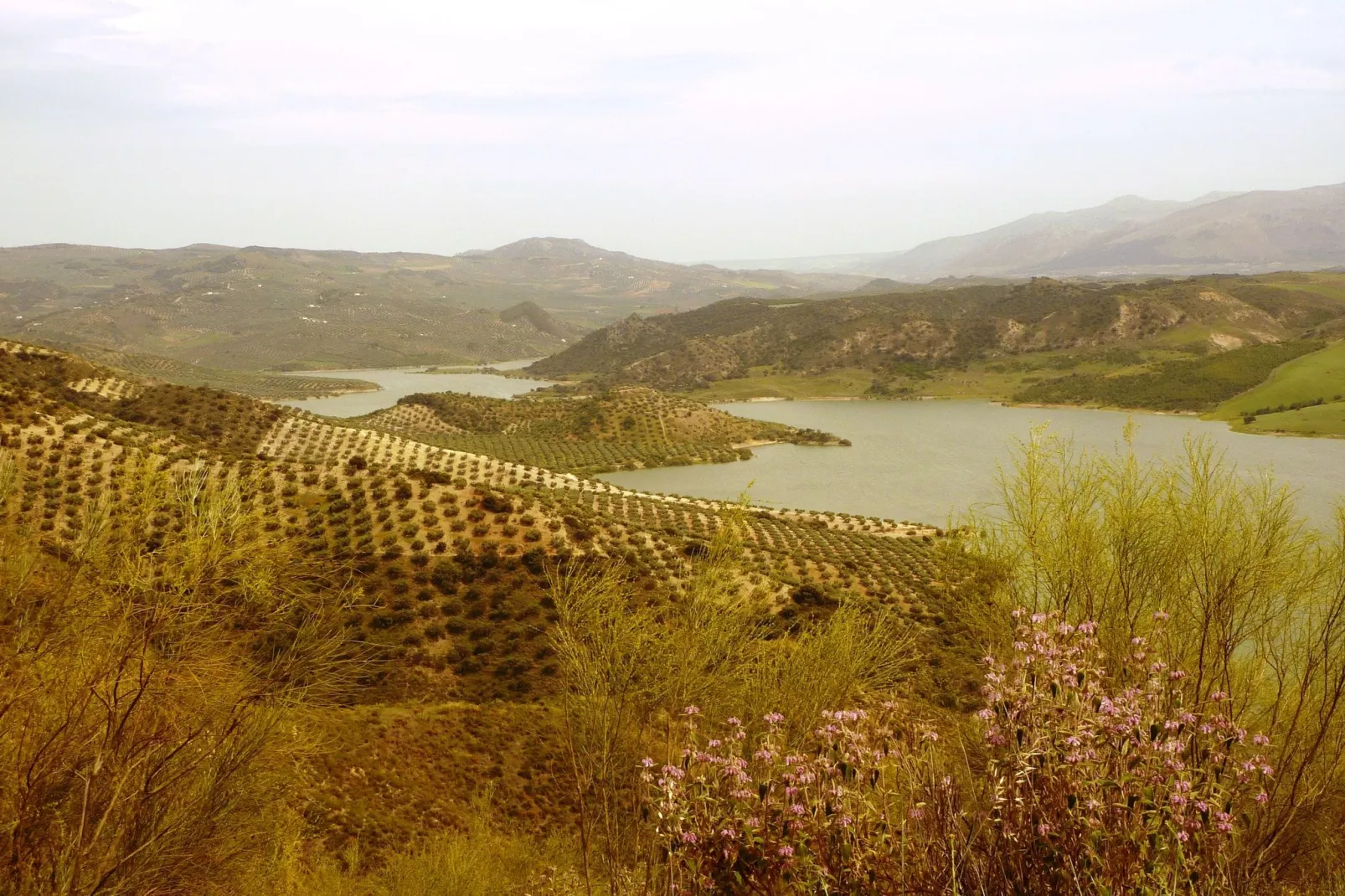 Posada del Silillo-Areas summer 1km