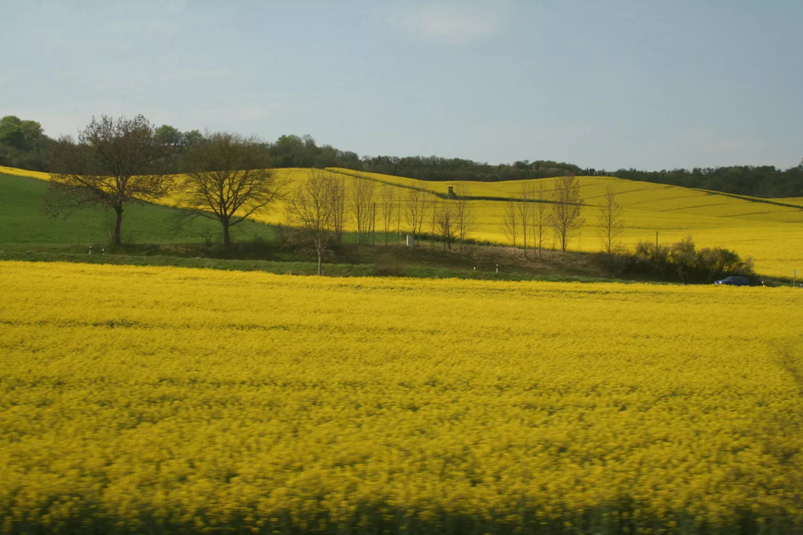 Kellerwaldblick-Areas summer 20km