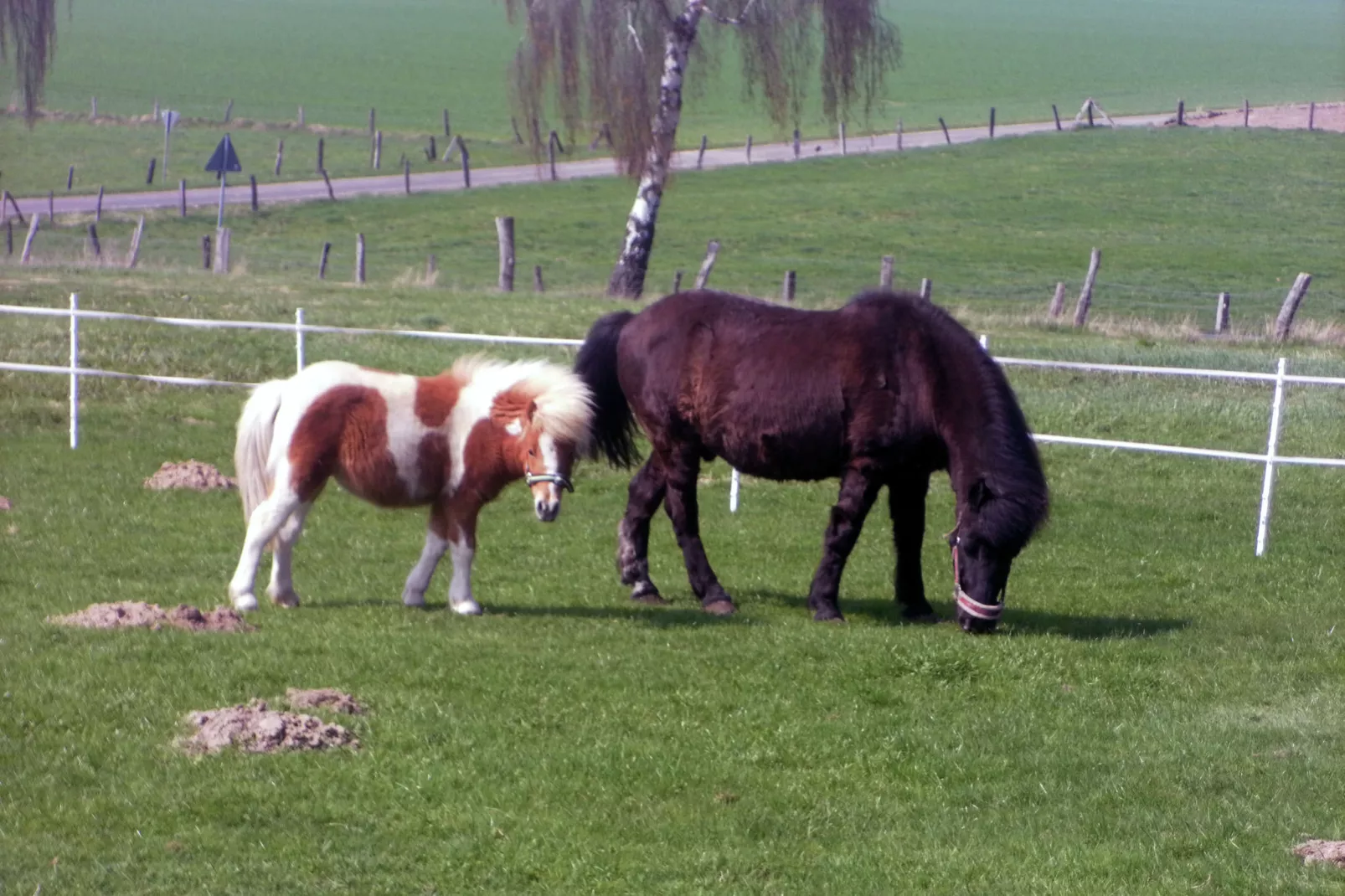 Am Ferienhof-Areas within 1km in summer
