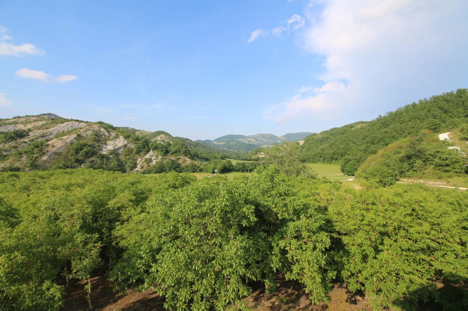 Casa Ginepro-View in summer