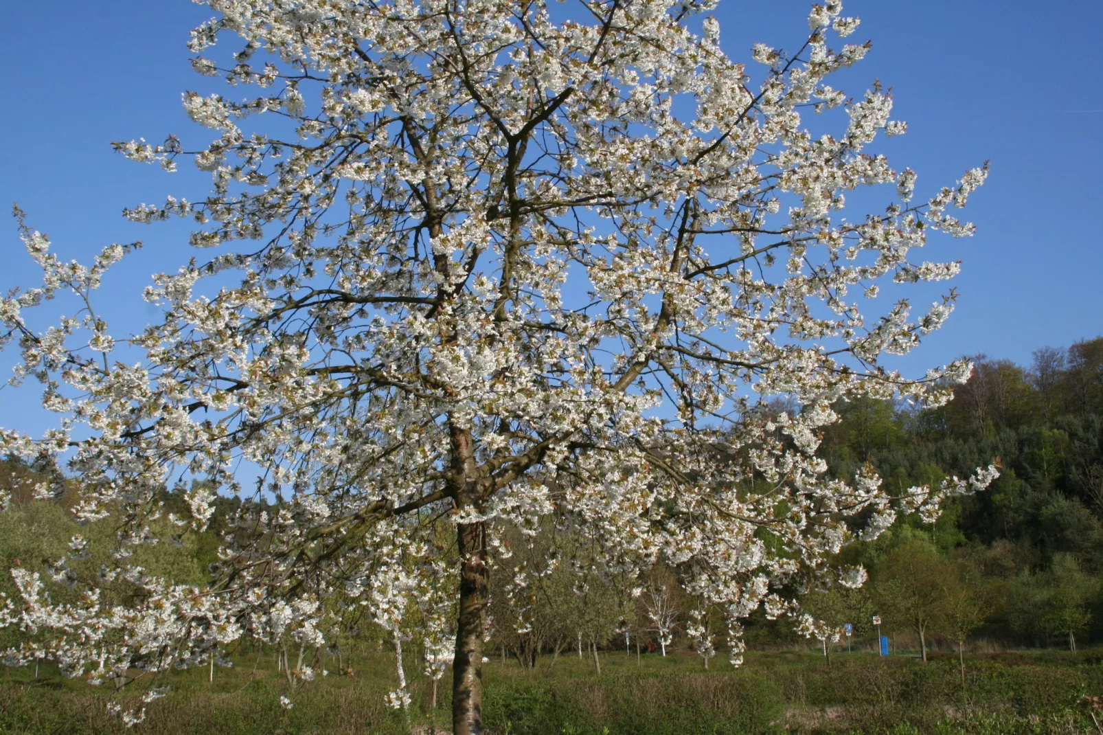 Kellerwaldblick-Atmosphere