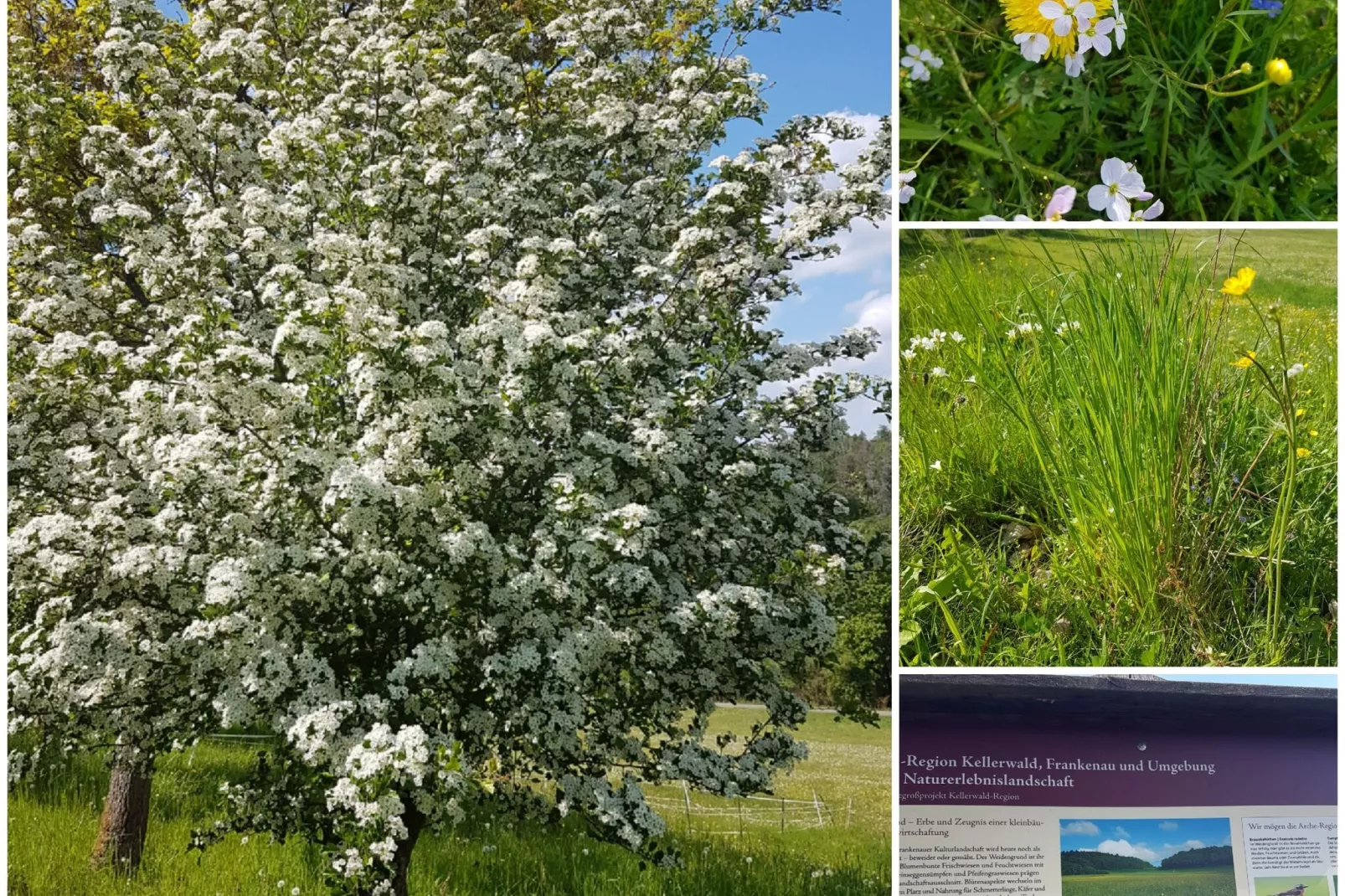Kellerwaldblick-Areas summer 5km