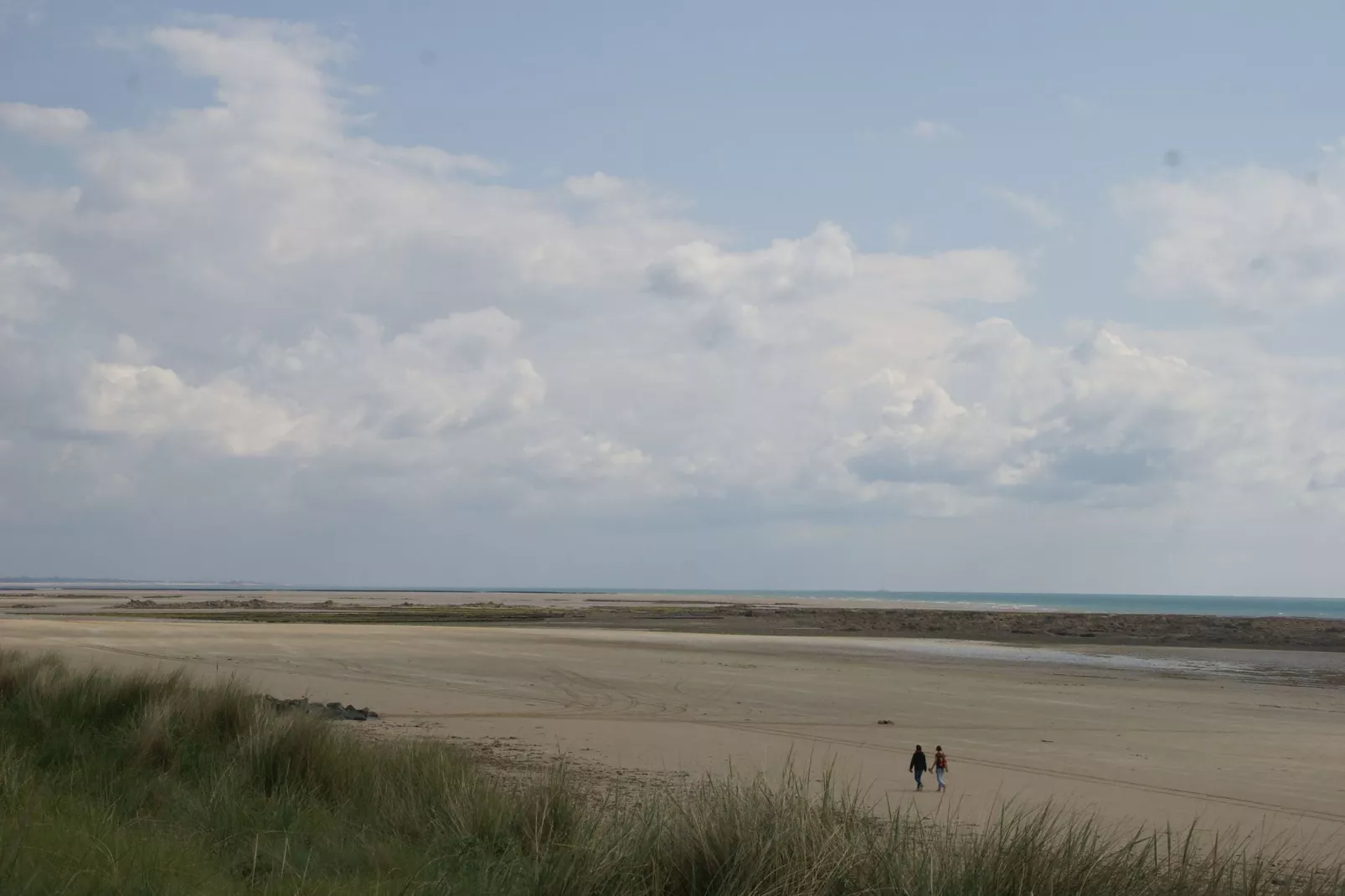 Rayon Vert-Areas summer 1km