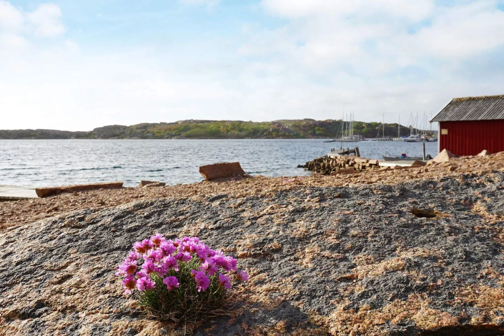 6 person holiday home in Bovallstrand-By Traum-View