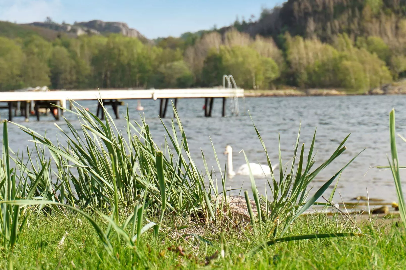 6 person holiday home in Bovallstrand-By Traum-View