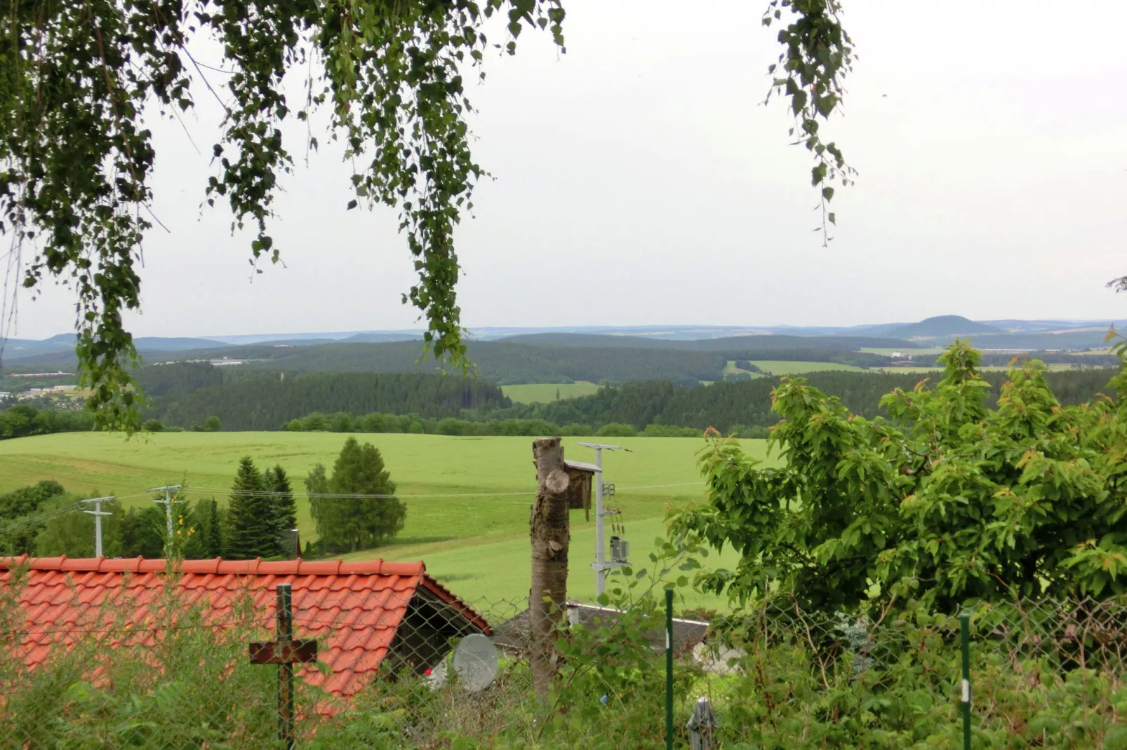 Am Heidelberg-Areas summer 1km