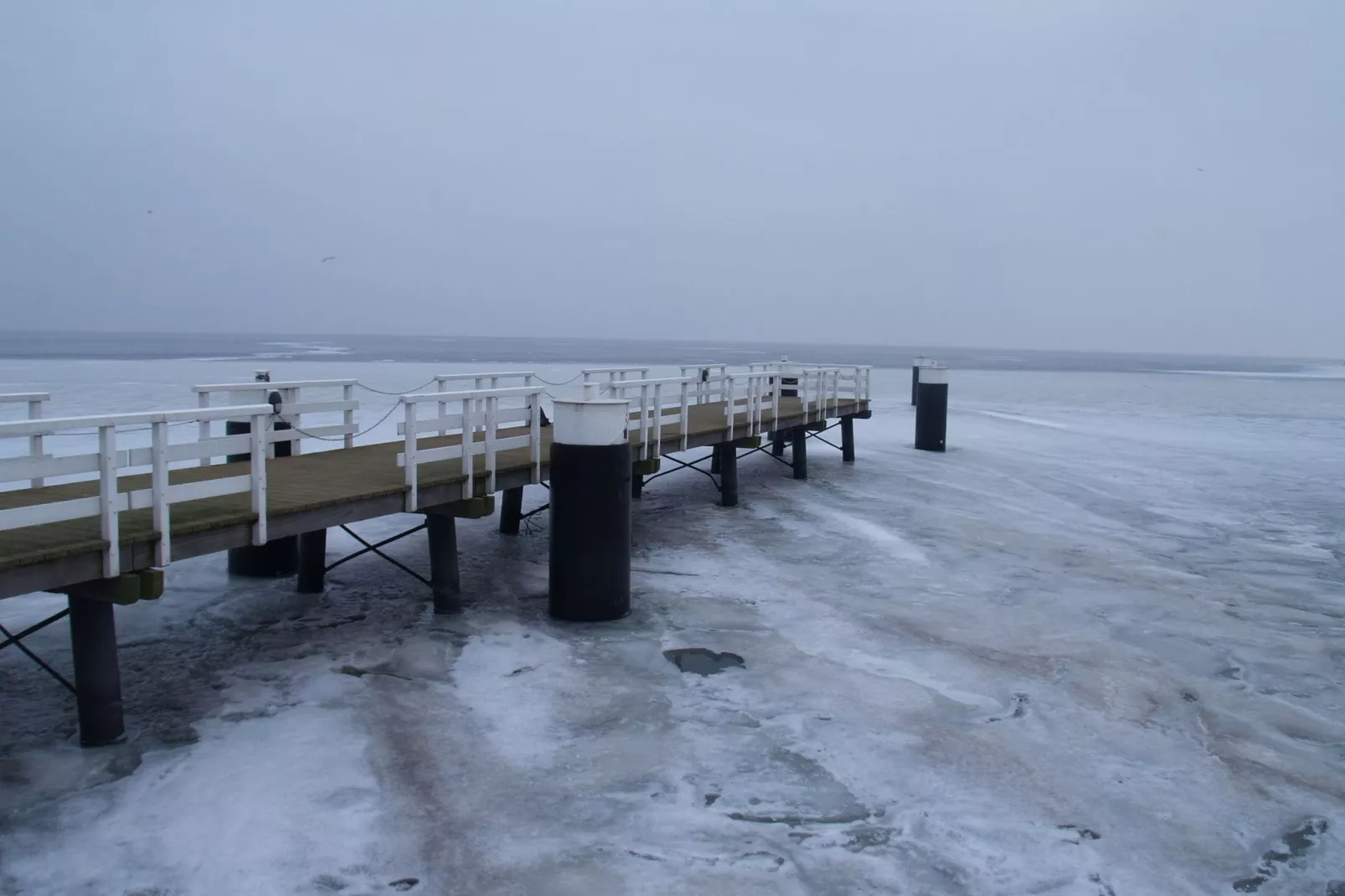 Resort Ijsselmeer 1-Area winter 1km