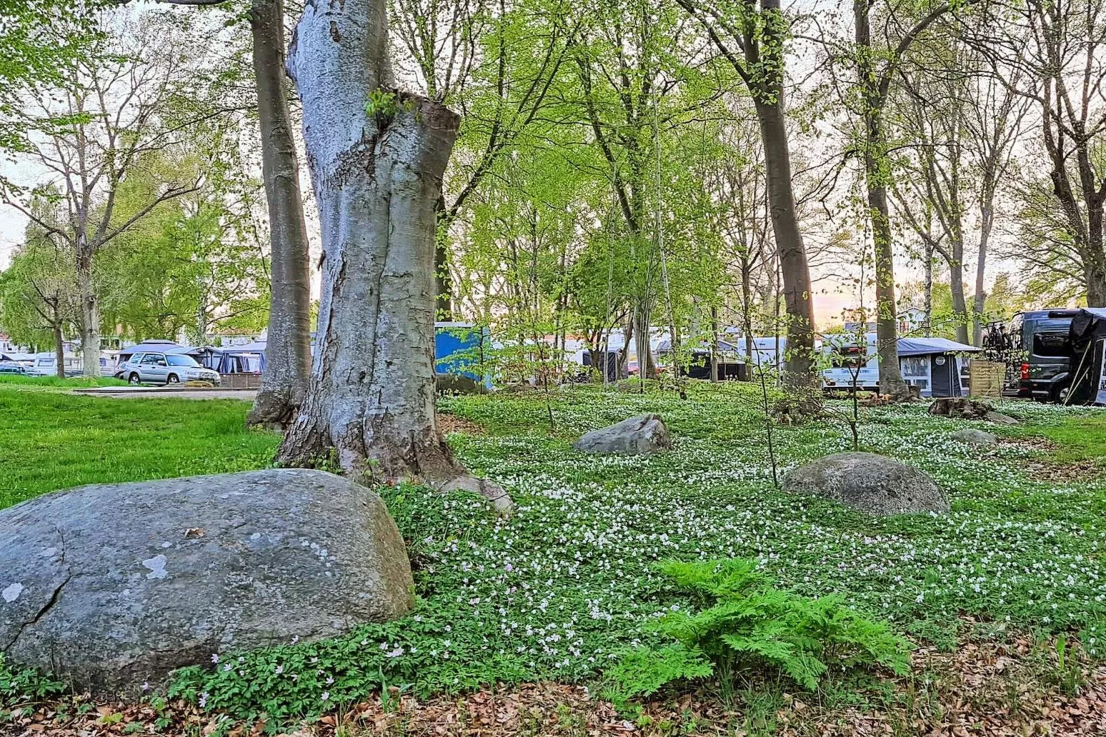 5 person holiday home in SÖLVESBORG-By Traum-Not tagged