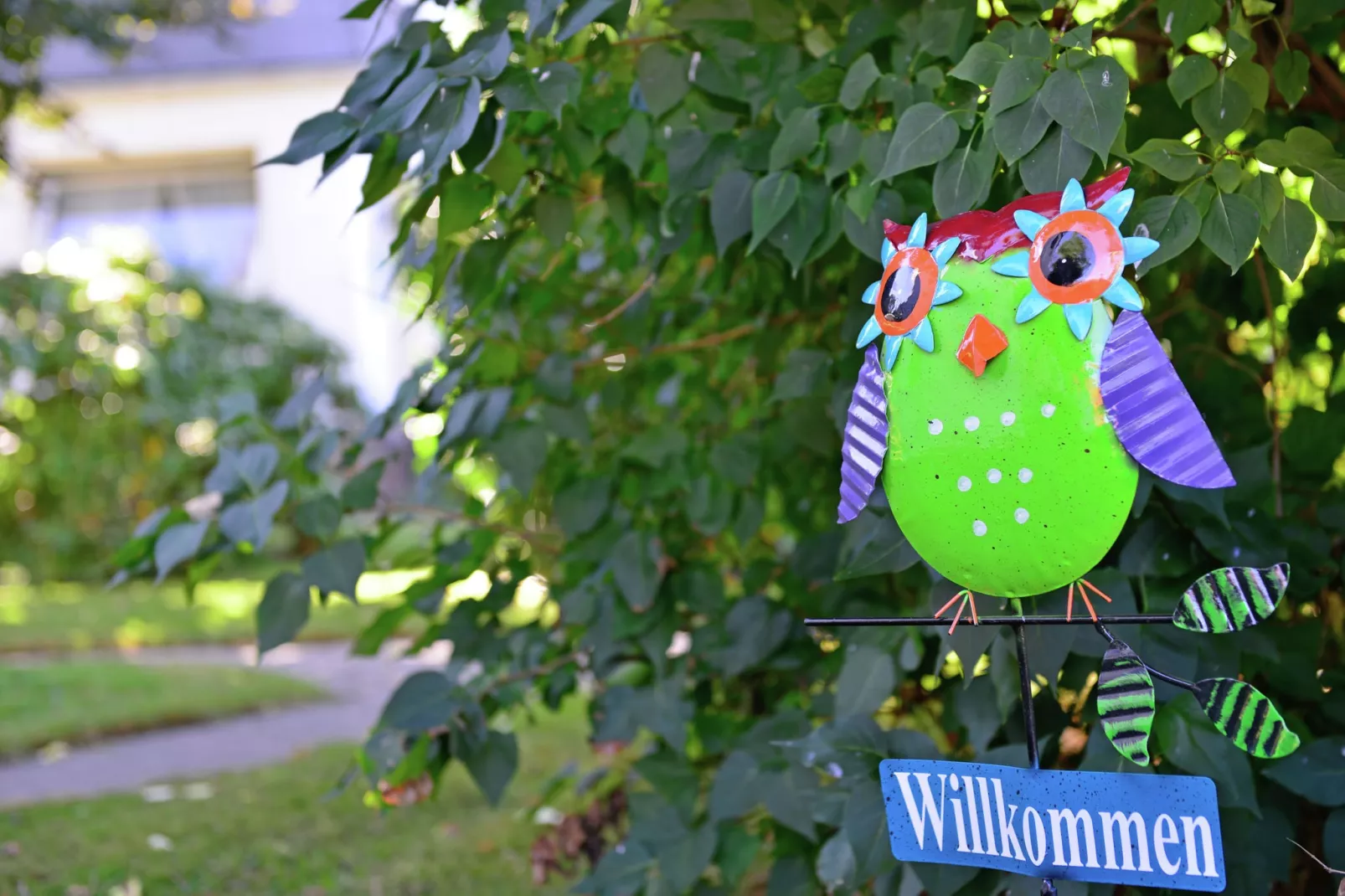 Willingen-Ambiente