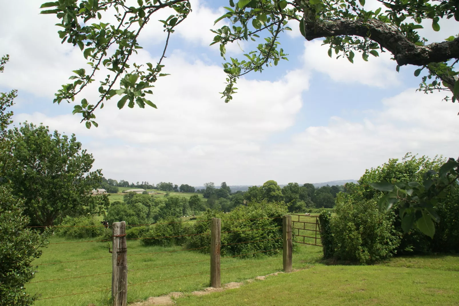 Maison de vacances Montaigu les Bois-View summer