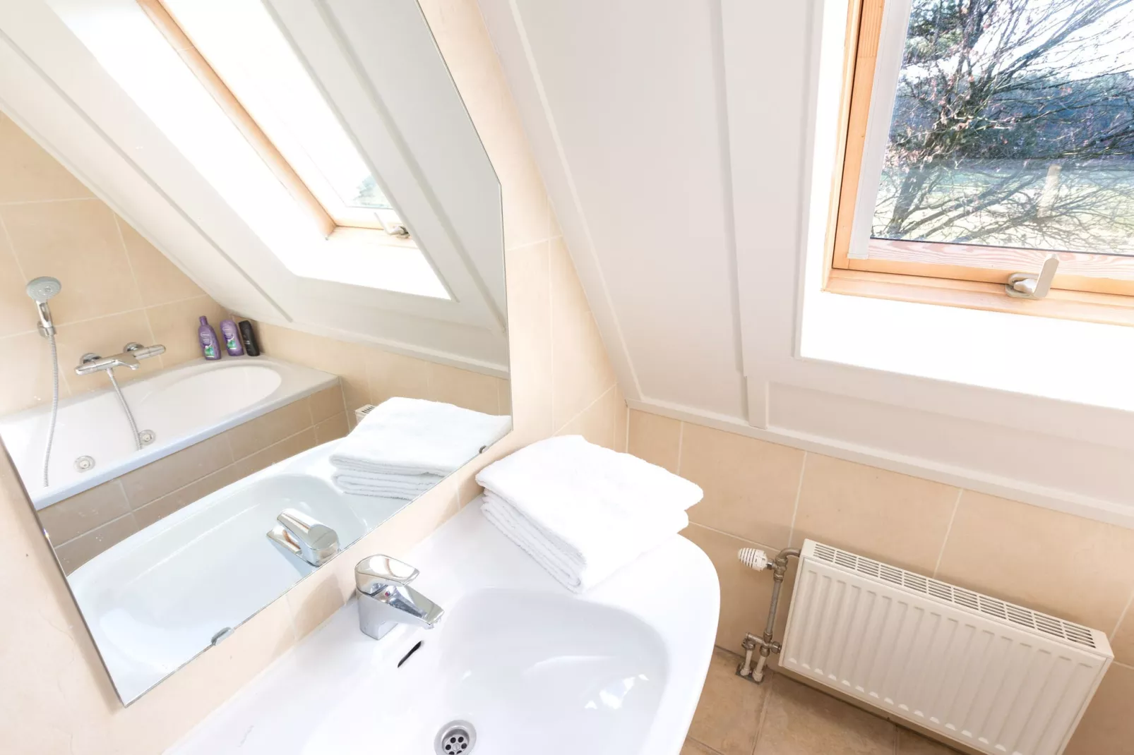 Vakantiepark de Katjeskelder 12-Badezimmer