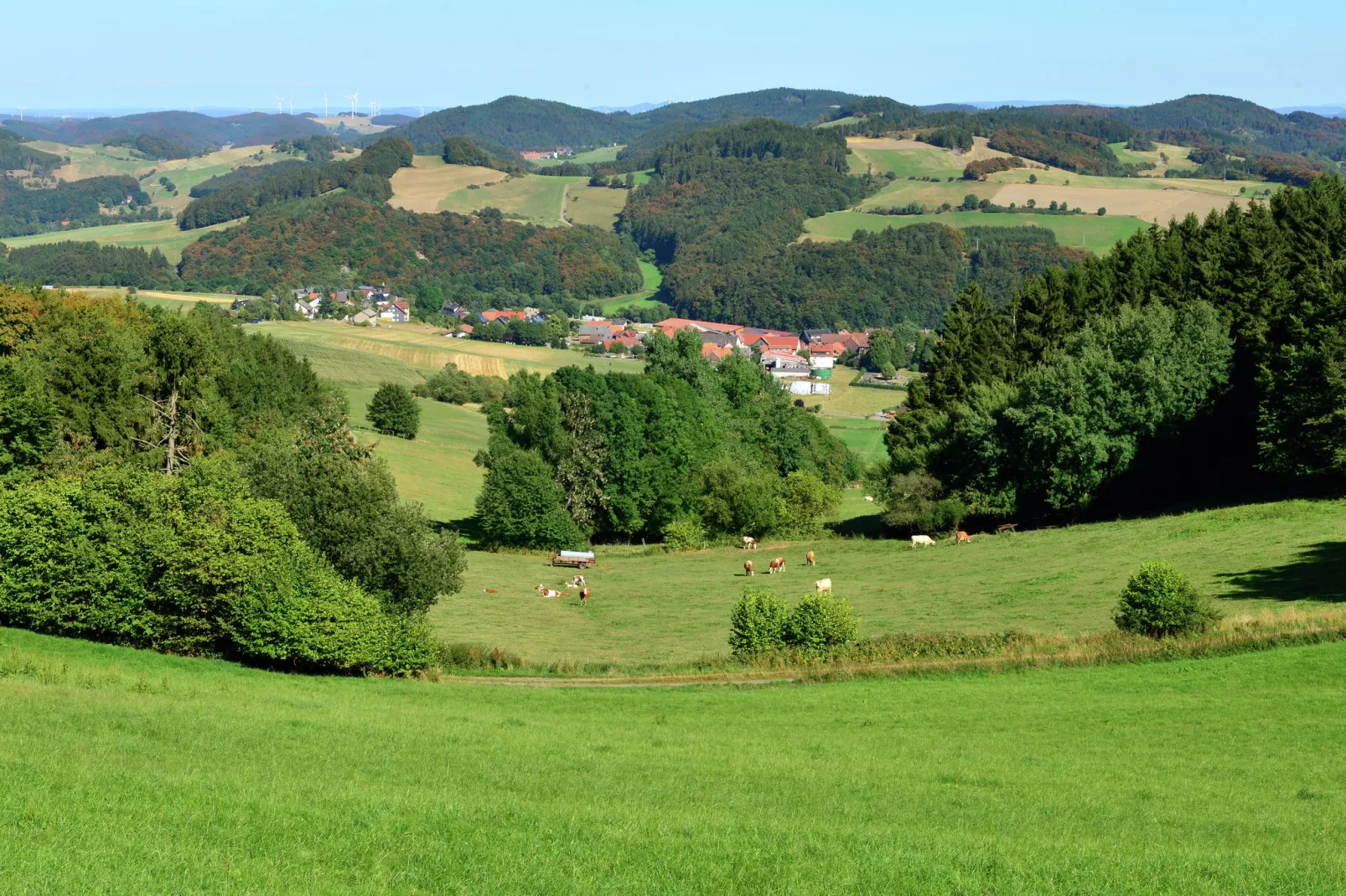 Willingen-Gebiete Sommer 20 km