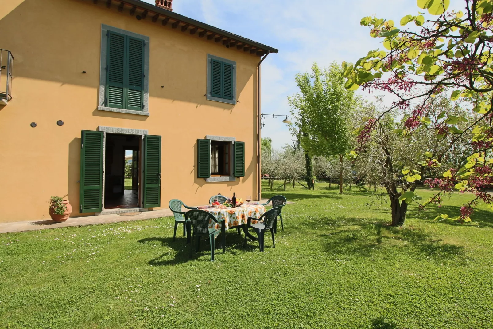 Due Olivi-Exterior summer