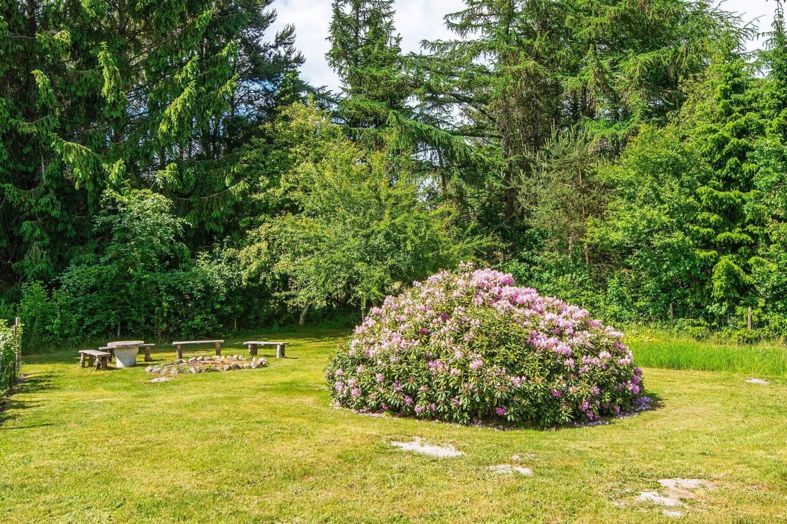 6 person holiday home in Højslev-By Traum-View