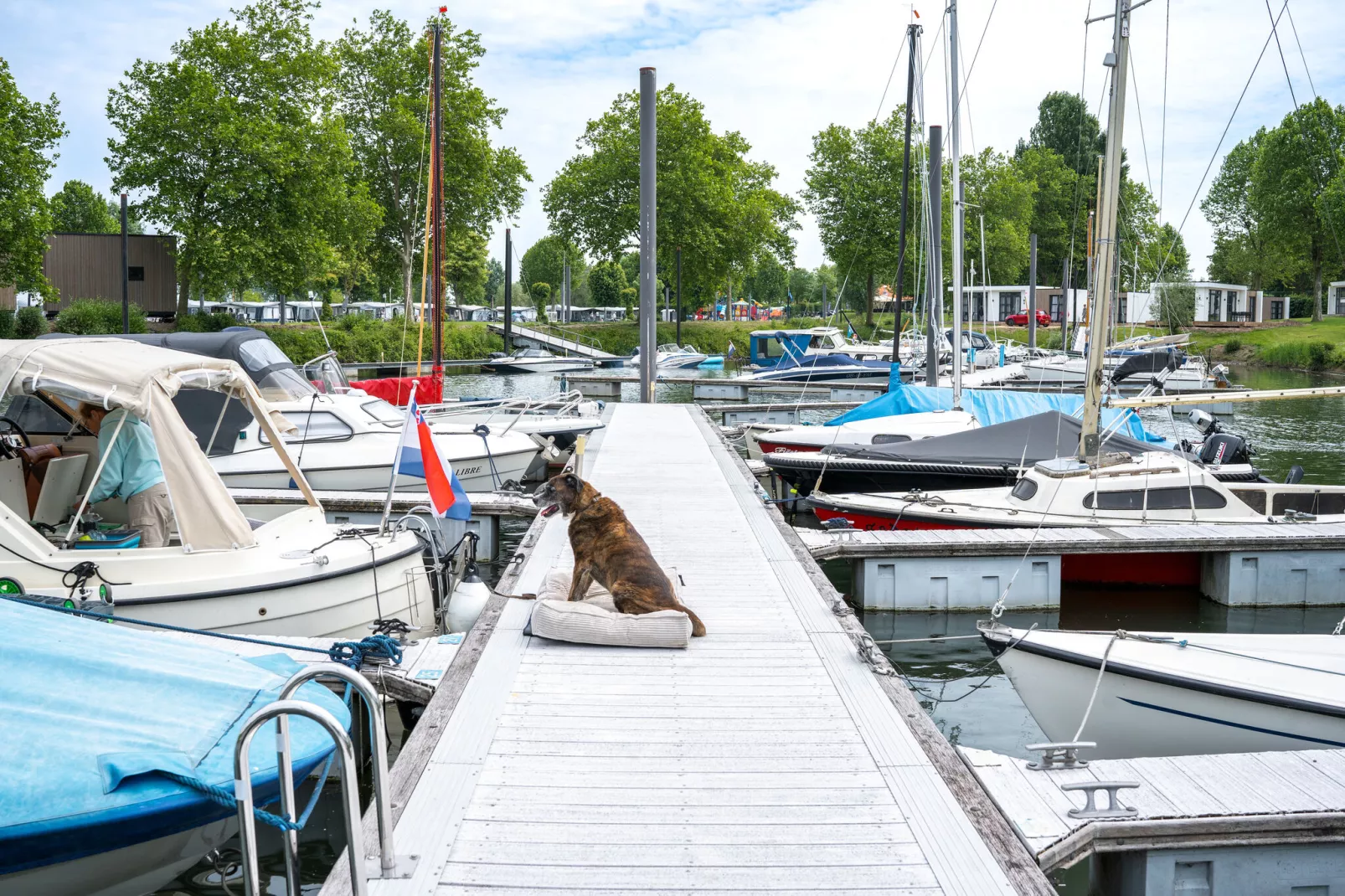 MarinaPark Bad Nederrijn 1-Areas summer 20km
