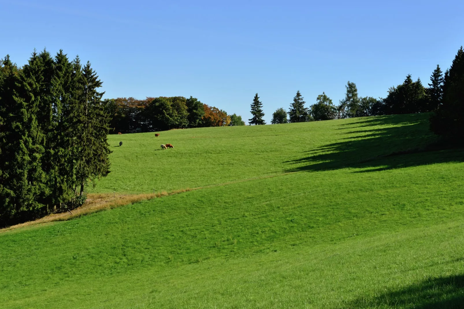 Willingen-Gebiete Sommer 1 km