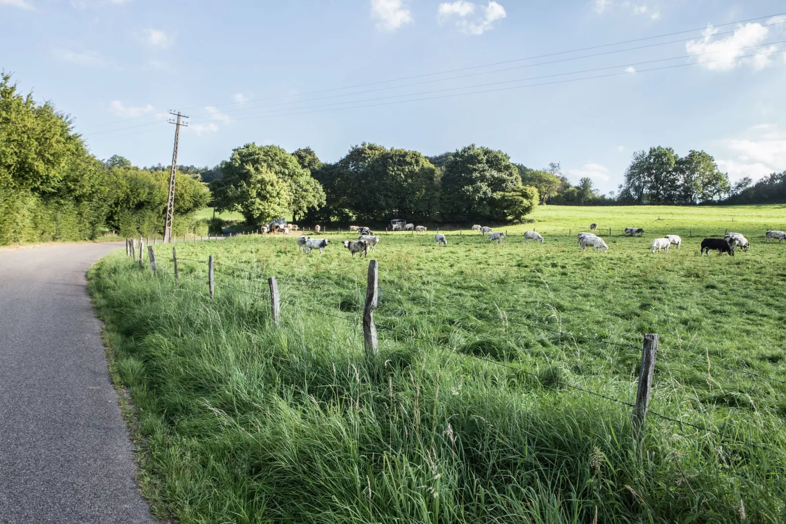 Amante - Zones été à 20 km
