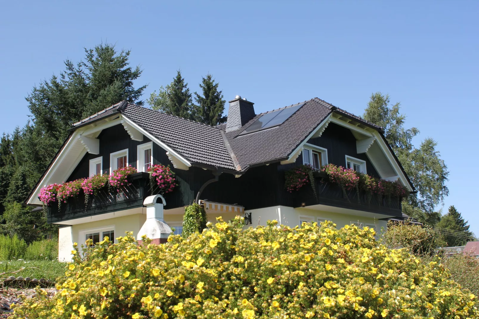 Am Thüringer Rennsteig-Außenbereich Sommer