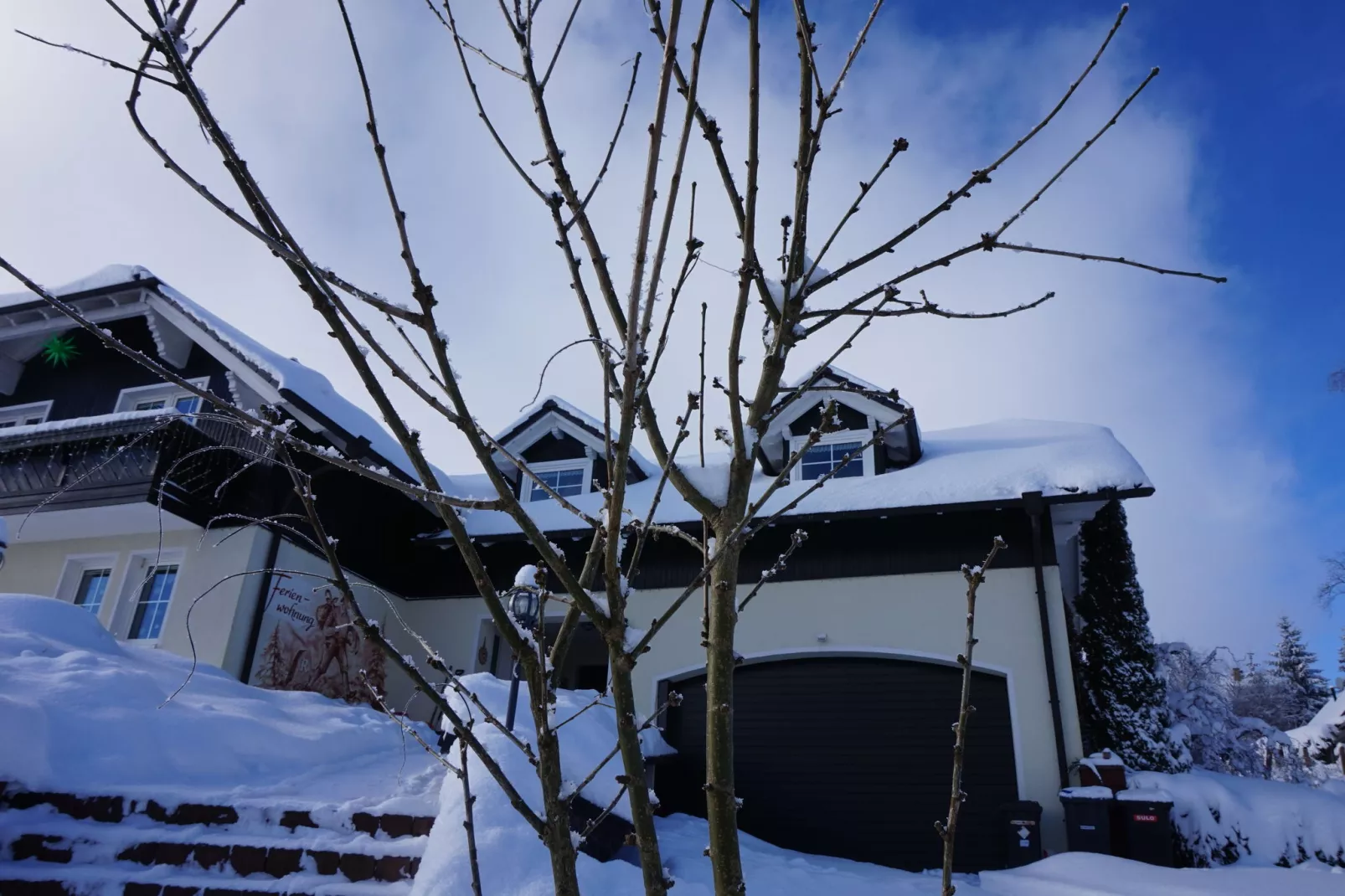 Am Thüringer Rennsteig-Außenbereich Winter