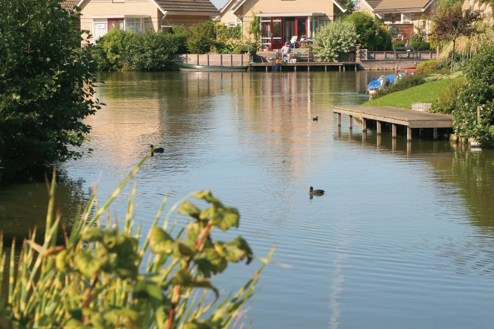 Resort Ijsselmeer 3-Exterior summer