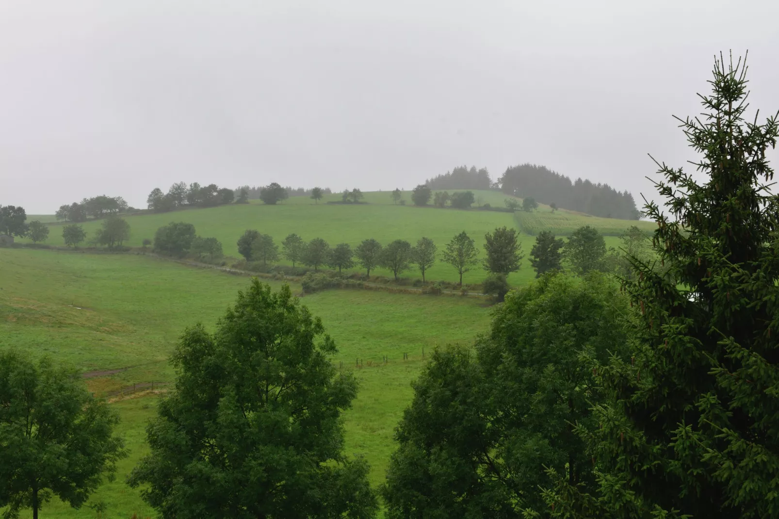 Willingen-Vue d'été