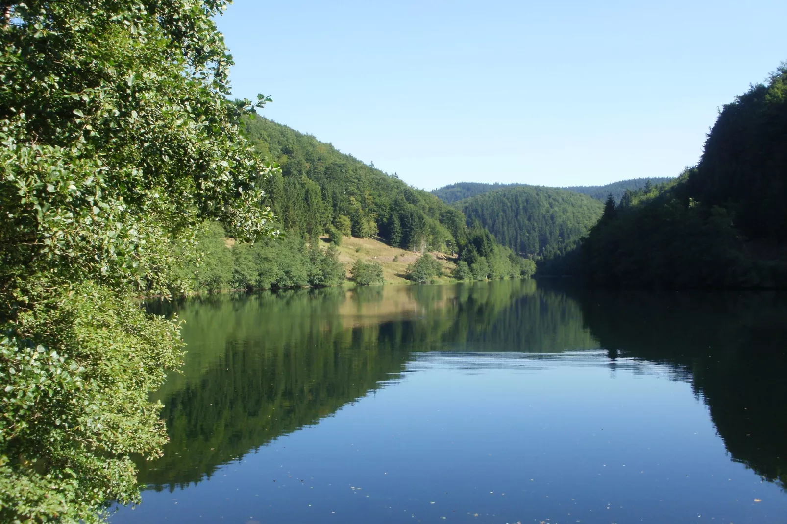 Am Thüringer Rennsteig-Gebiete Sommer 5 km