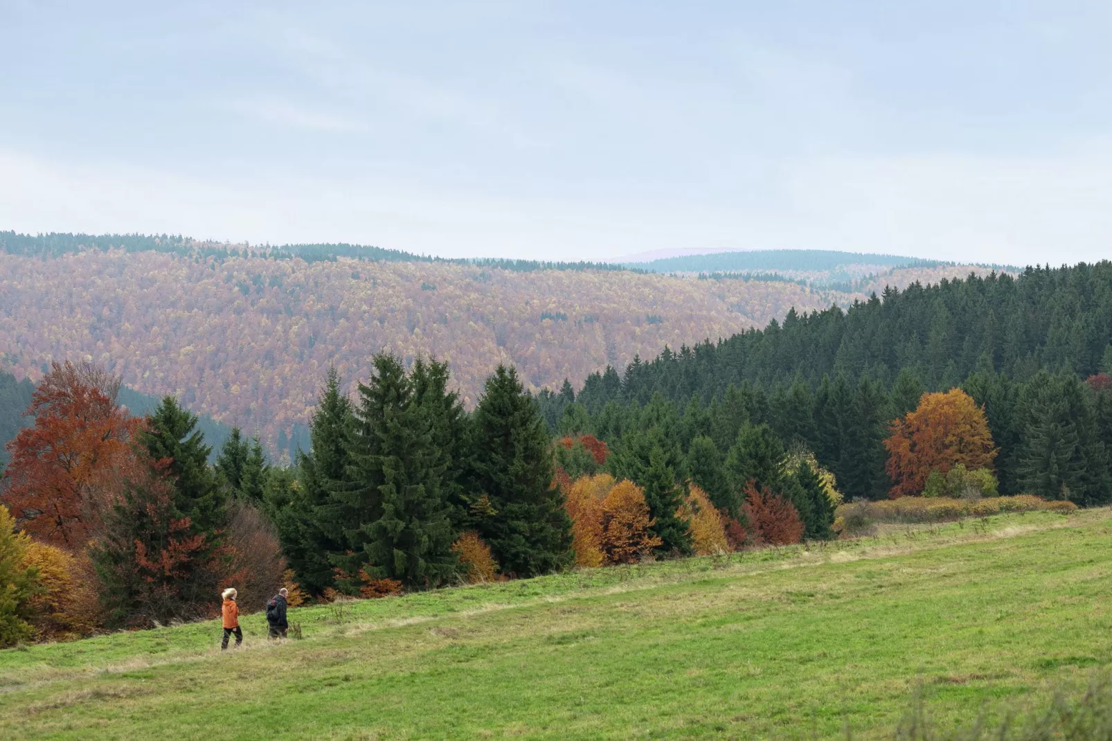 Am Thüringer Rennsteig-Gebiete Sommer 5 km
