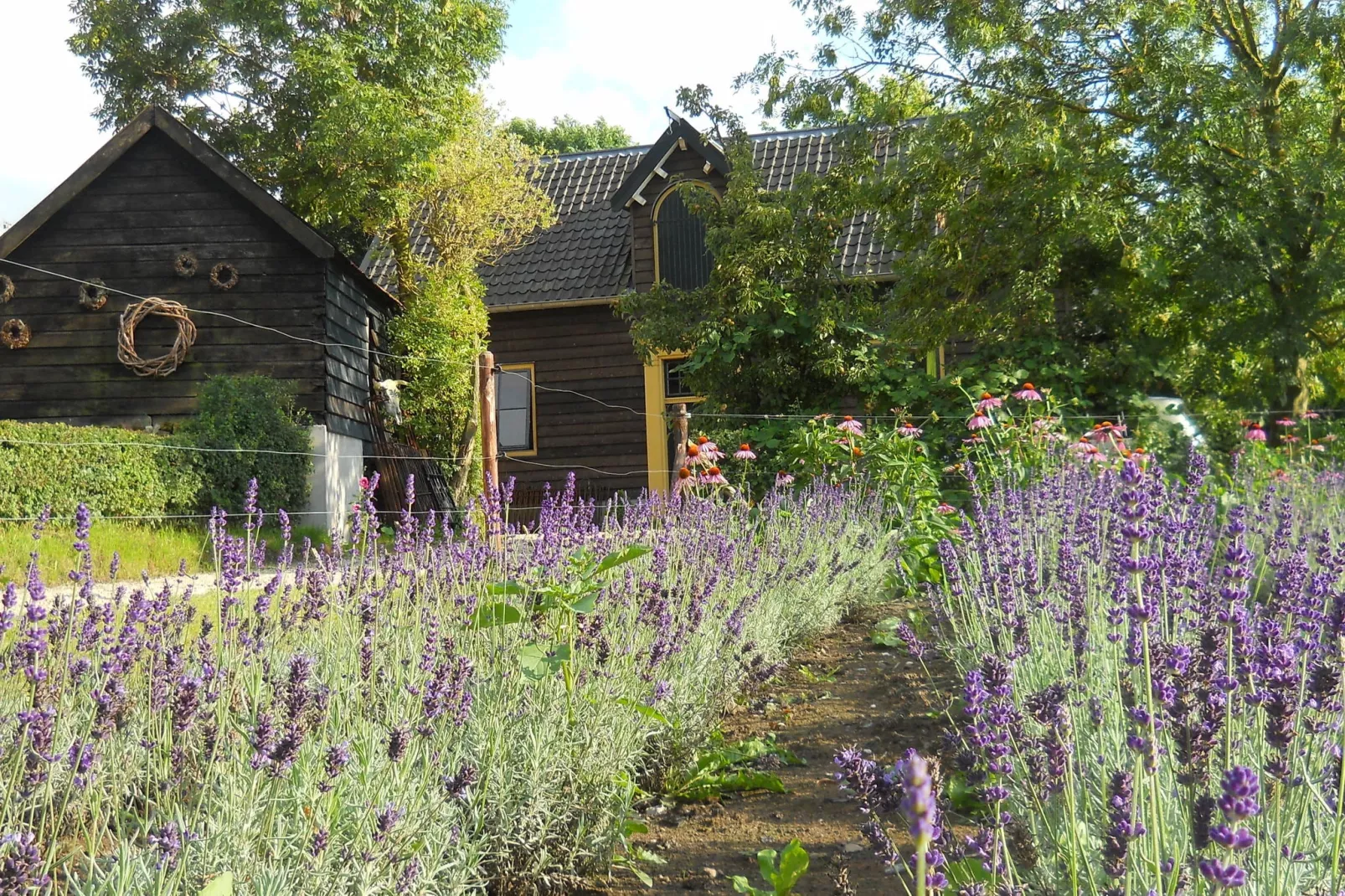 Koetshuis 't Geyn-Landgoed Noordenhoek-Exterior summer