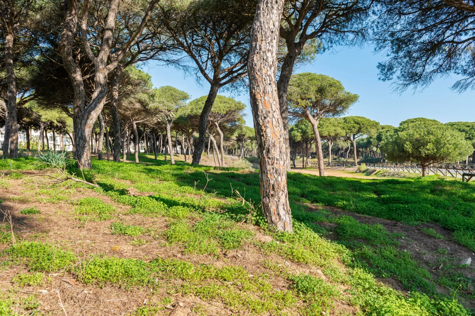 Villa Lili-Areas summer 1km
