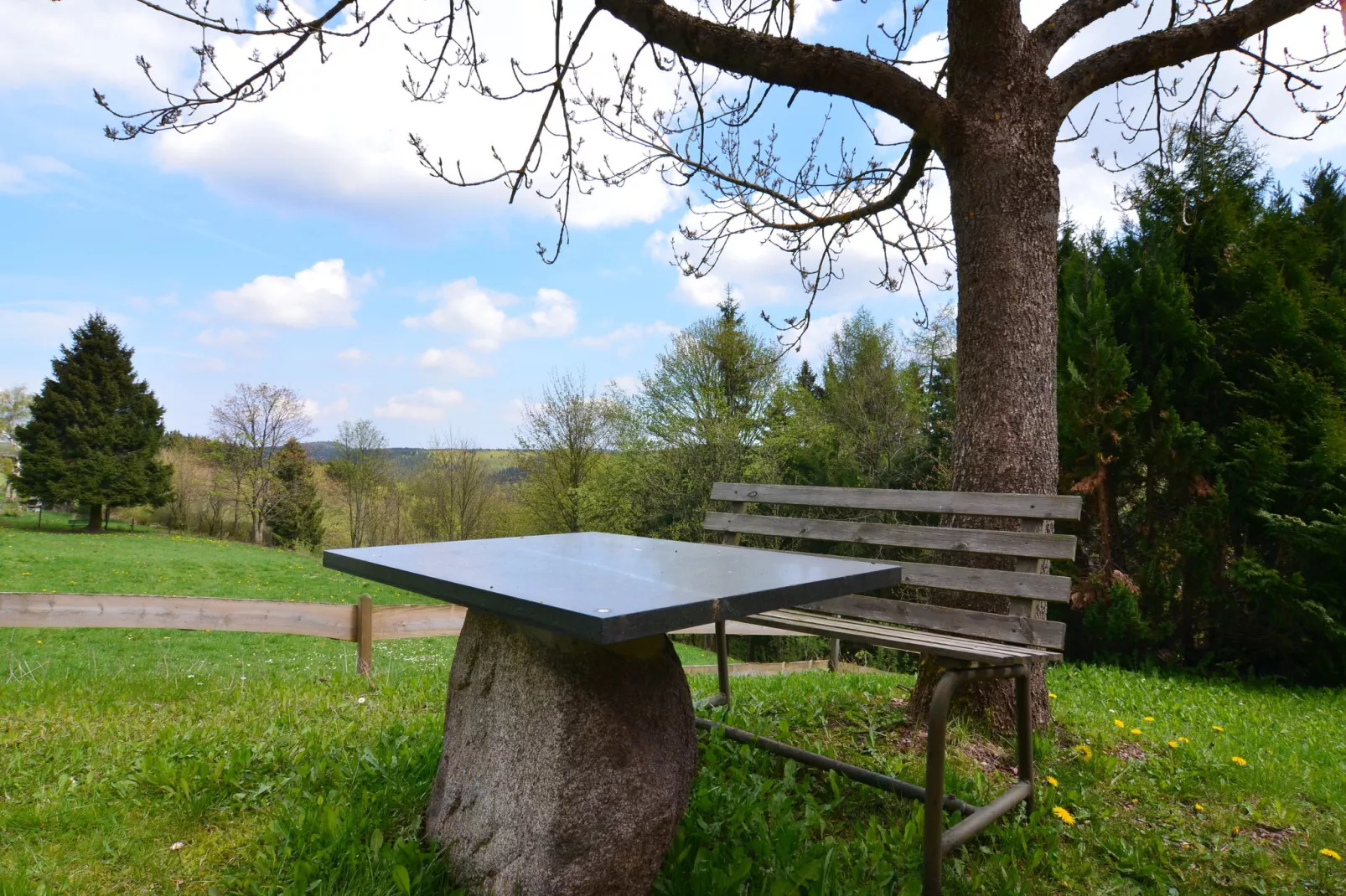 Thüringer Wald-Gardens summer