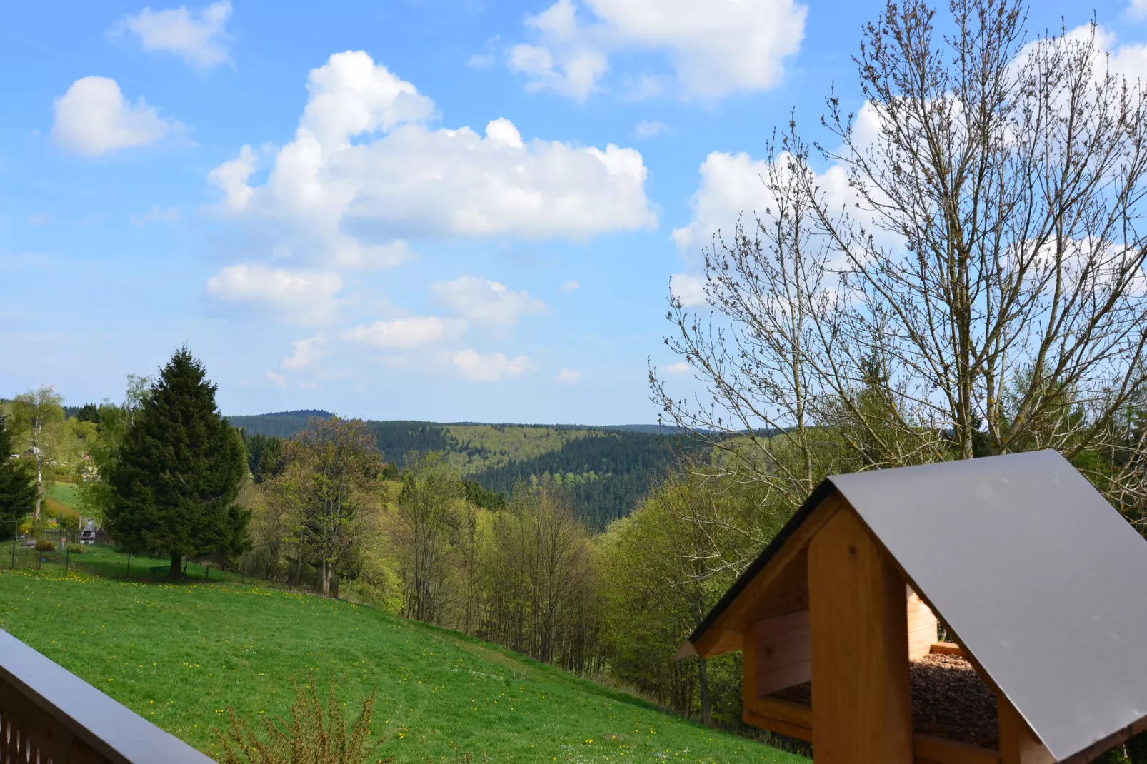 Thüringer Wald-View summer
