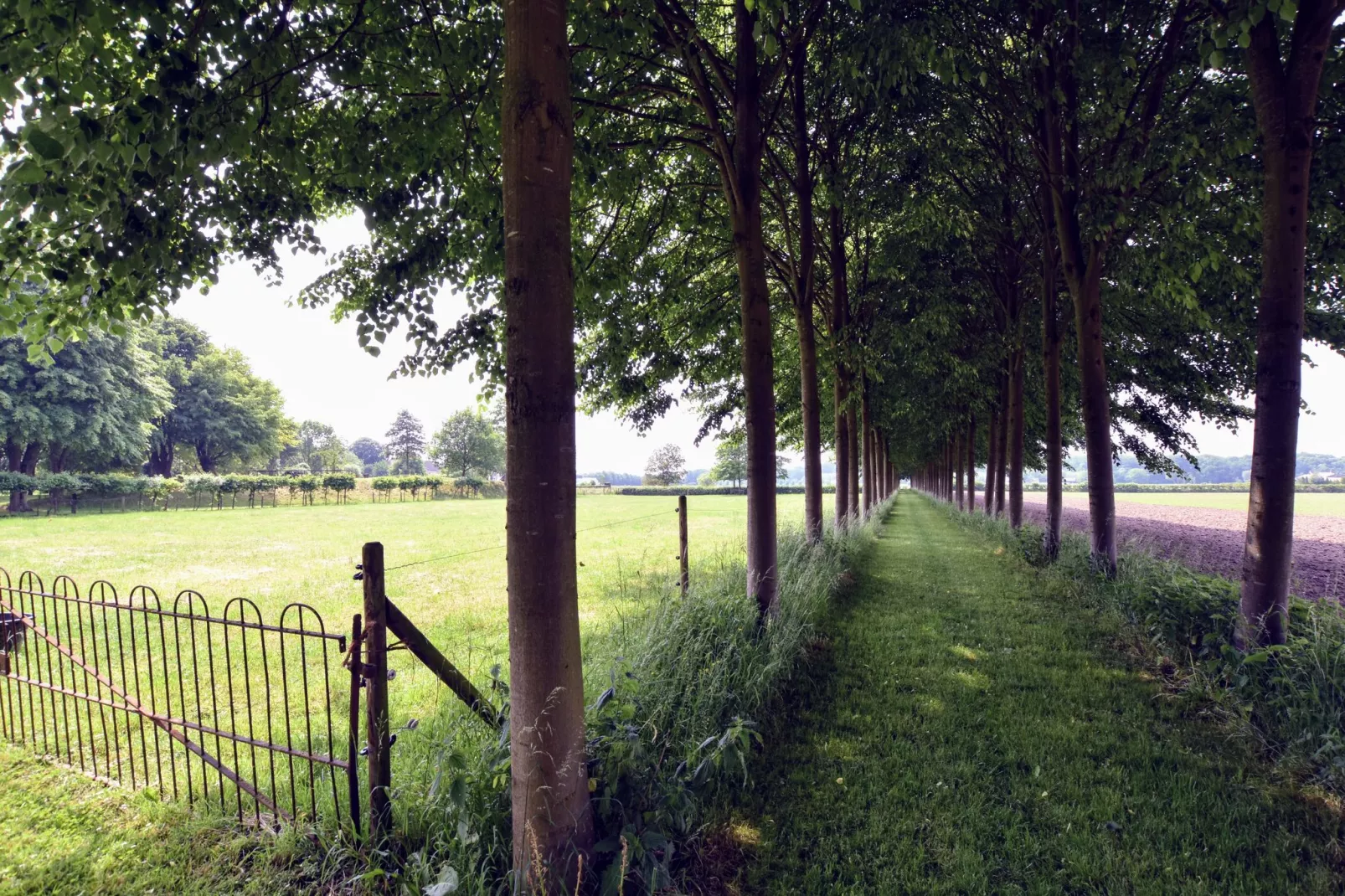 Koetshuis 't Geyn-Landgoed Noordenhoek-Gardens summer