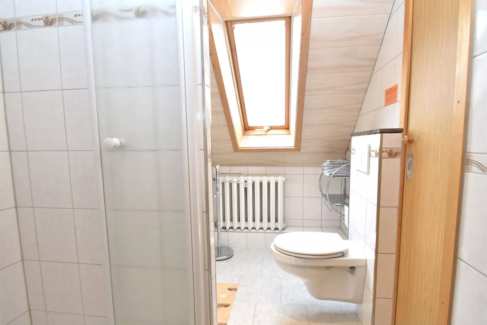 Flat near the forest in Frauenwald Thuringia-Bathroom