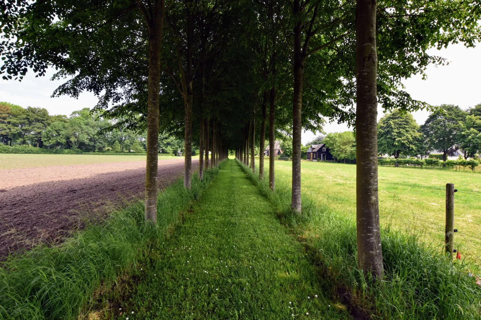 Koetshuis 't Geyn-Landgoed Noordenhoek-Areas summer 1km