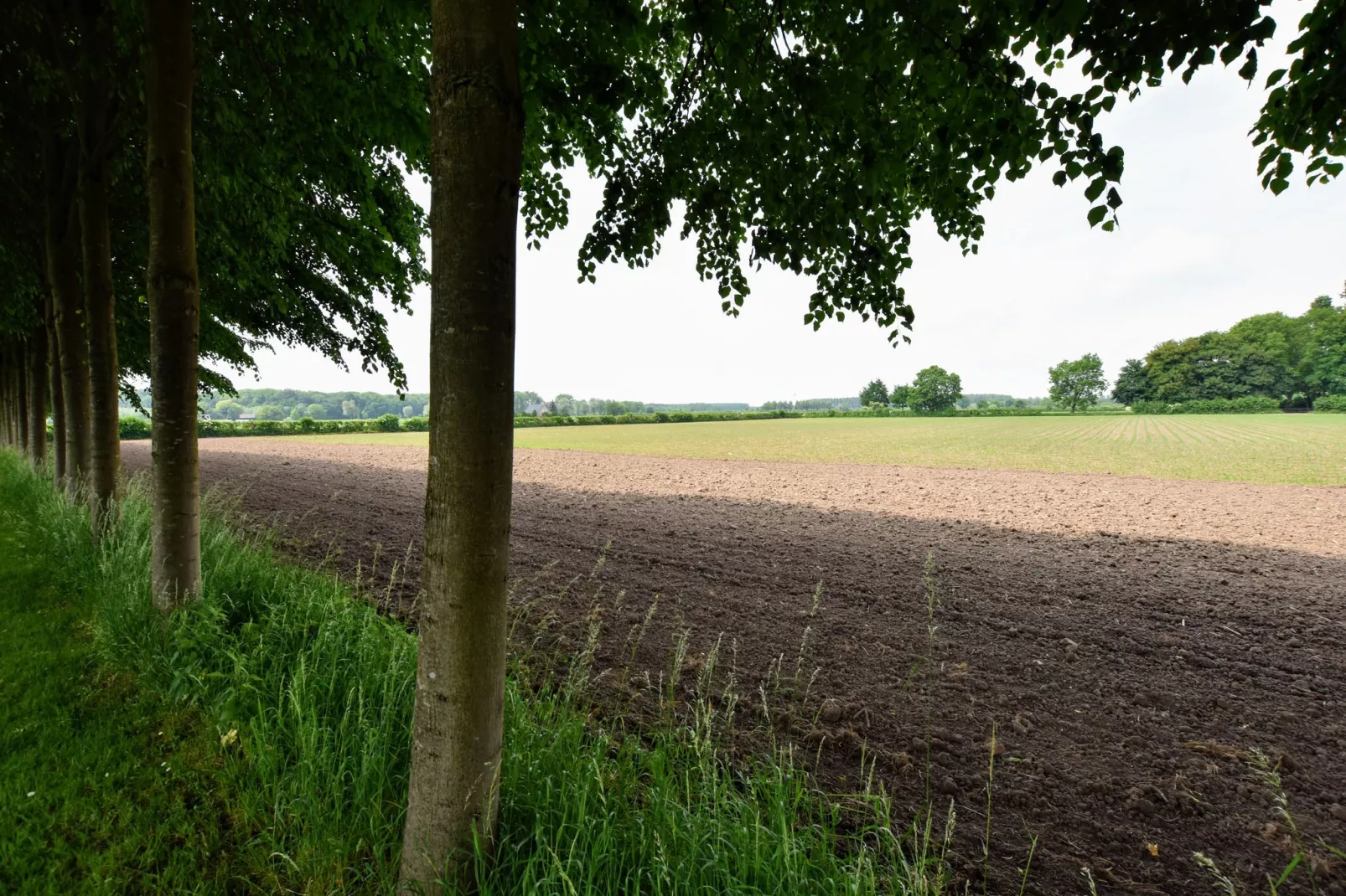 Koetshuis 't Geyn-Landgoed Noordenhoek-Areas summer 1km